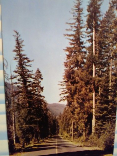 Cartolina epoca veduta - cartolina,