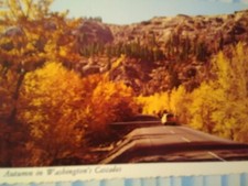 BELLISSIMA CARTOLINA CROMATA