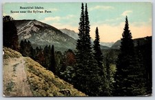 Cartolina Bellissima Scena