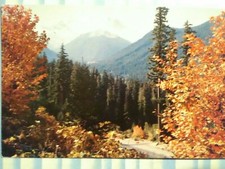 BELLISSIMA CARTOLINA MOUNT